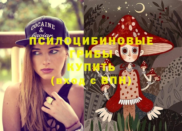 круглые Осинники