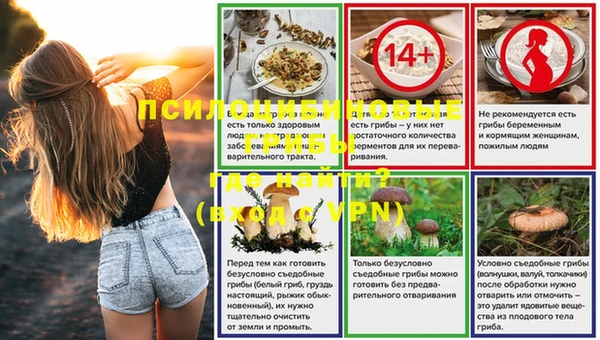 круглые Осинники