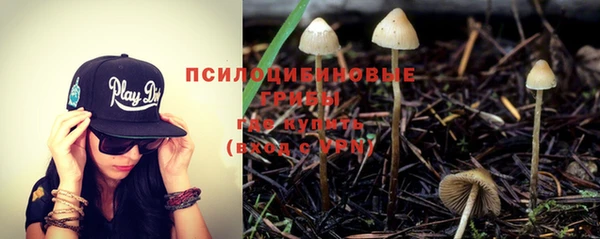 круглые Осинники