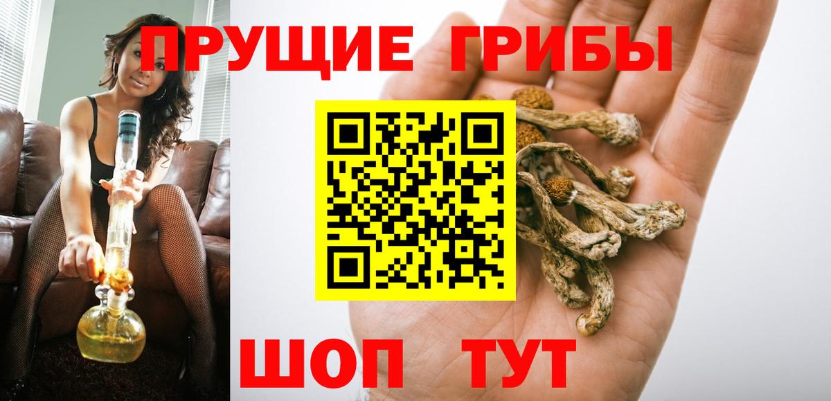 Псилоцибиновые грибы мицелий Смоленск