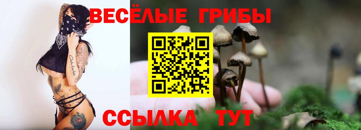 Смоленск  Галлюциногенные грибы MAGIC MUSHROOMS  Псилоцибиновые грибы Psilocybine cubensis  Вход с VPN 